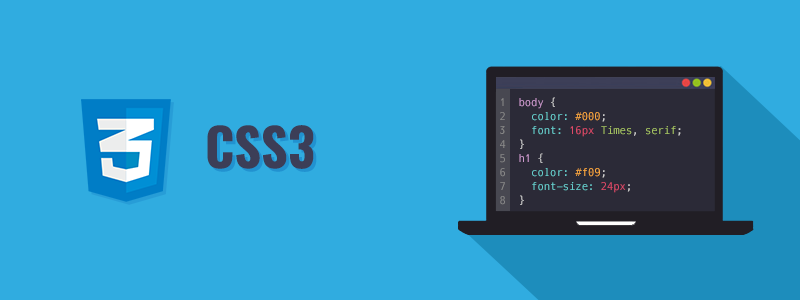 CSS :not Selector